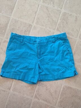 Patagonia Bright Blue Shorts